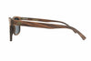 Black Oak Wooden Sunglasses